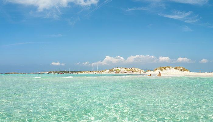 Vista de la playa de Ses Illetes